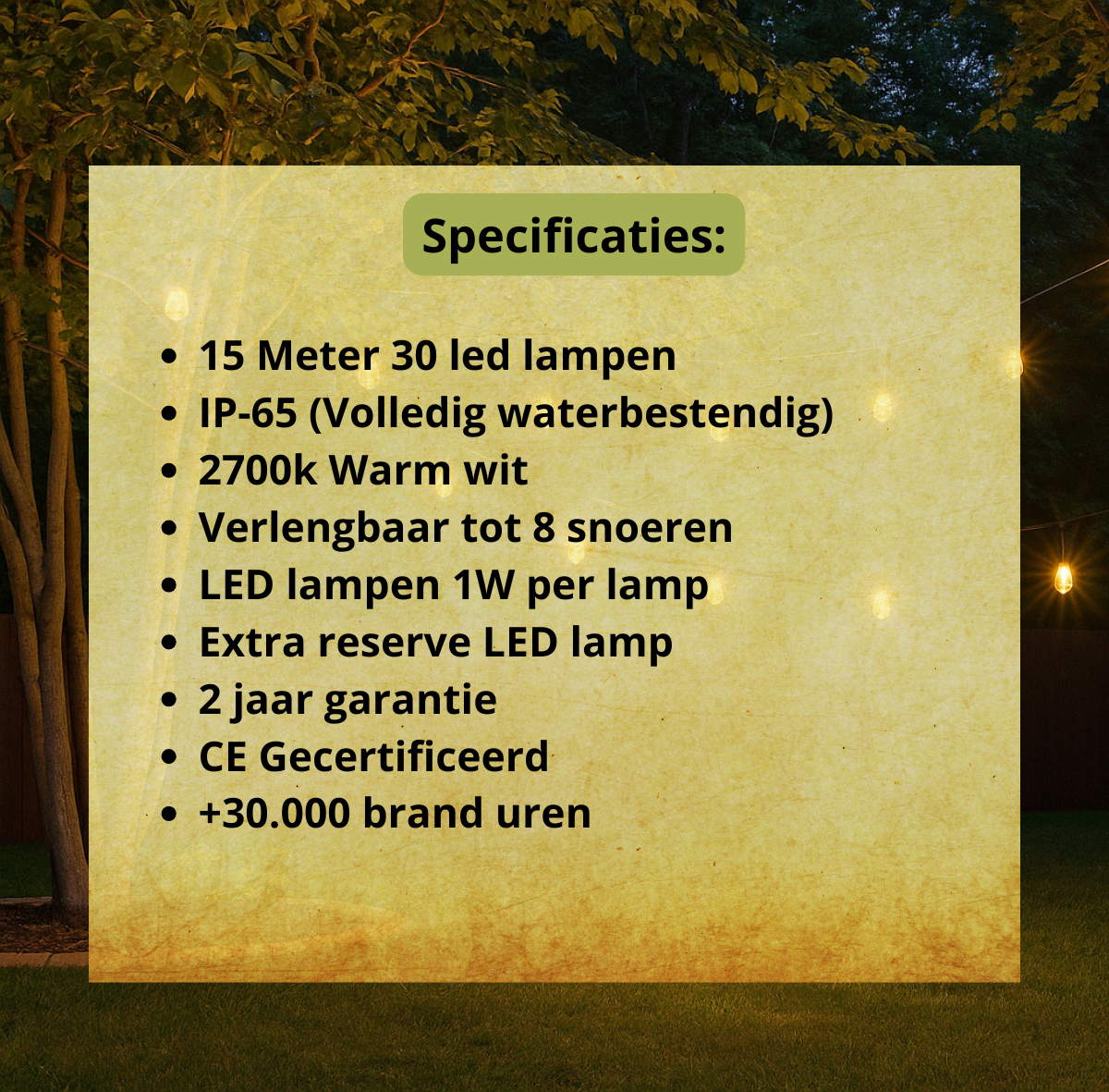 Lichtsnoer-waterdicht 